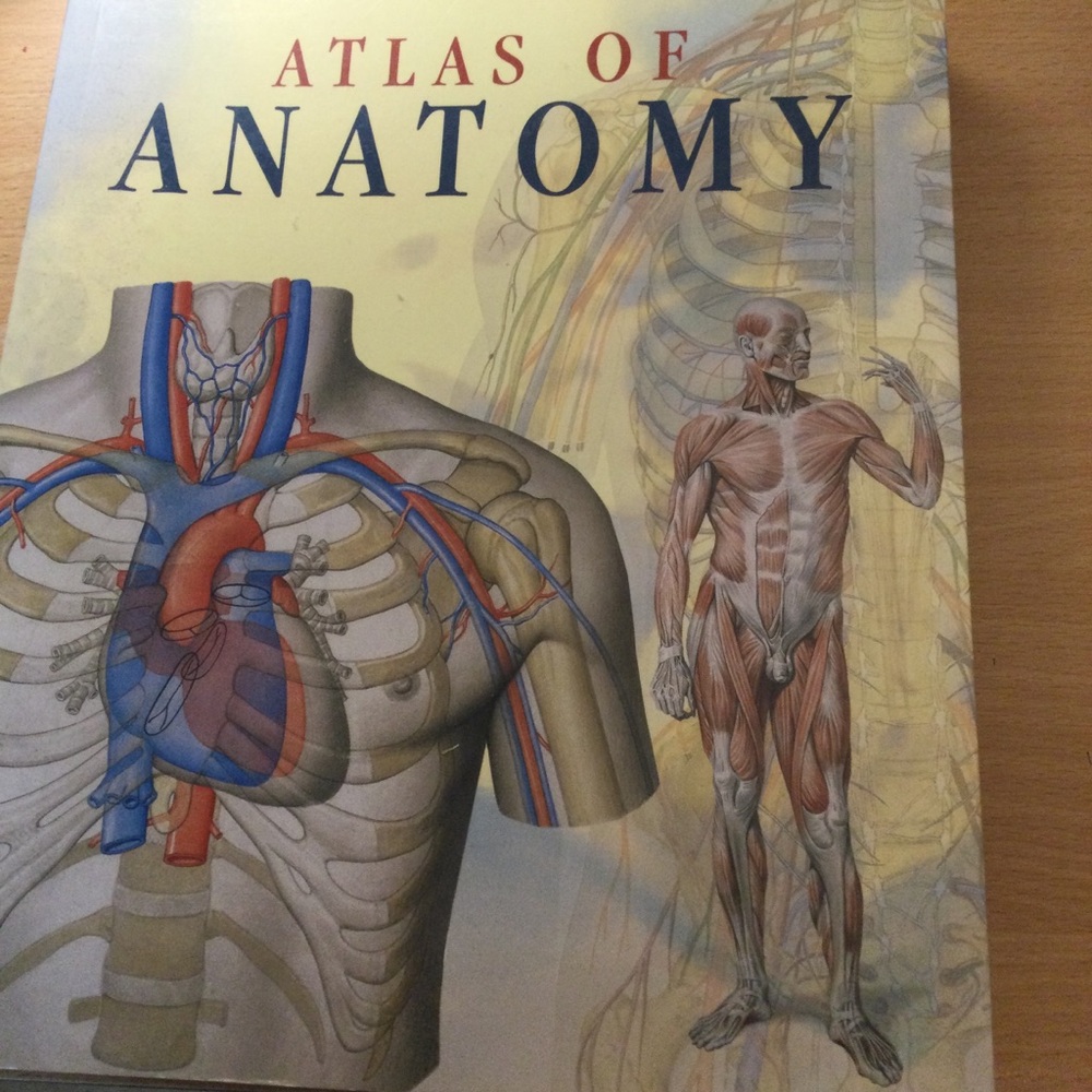 Atlas of Anatomy Book